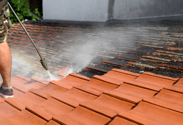 Best Best Pressure Washing Companies  in Waite Park, MN