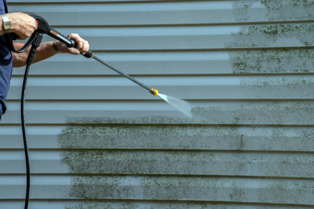 Roof Power Washing Services in Waite Park, MN